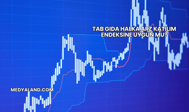 Tab Gıda Halka Arz Katılım Endeksine Uygun mu?