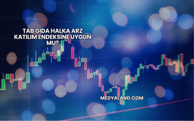 Tab Gıda Halka Arz Katılım Endeksine Uygun mu?