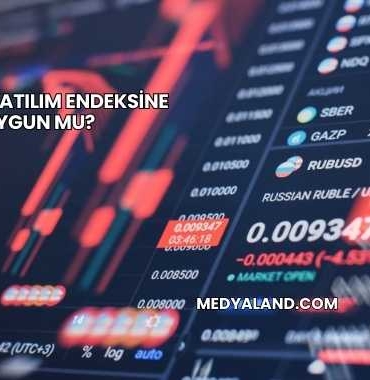 Tarkim Katılım Endeksine Uygun mu?