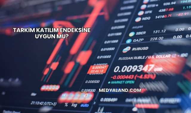 Tarkim Katılım Endeksine Uygun mu?