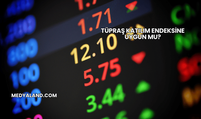 Tüpraş Katılım Endeksine Uygun mu?