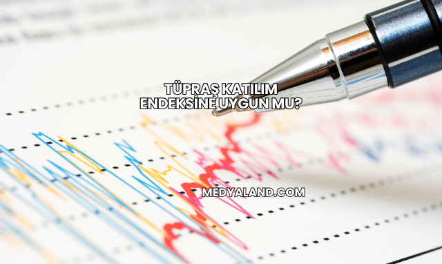 Tüpraş Katılım Endeksine Uygun mu?