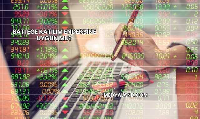 Batı Ege Katılım Endeksine Uygun mu?