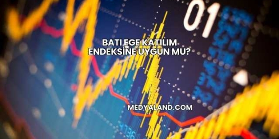 Batı Ege Katılım Endeksine Uygun mu?