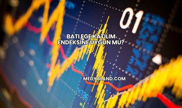 Batı Ege Katılım Endeksine Uygun mu?