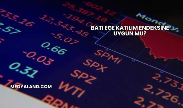 Batı Ege Katılım Endeksine Uygun mu?