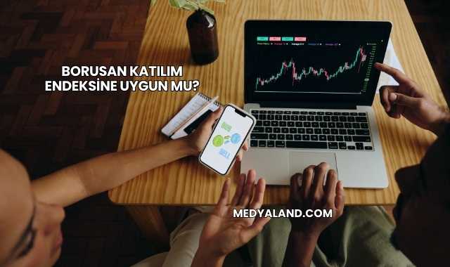 Borusan Katılım Endeksine Uygun mu?