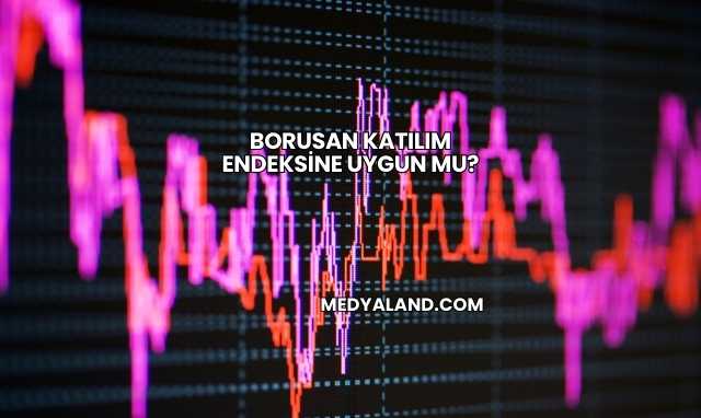 Borusan Katılım Endeksine Uygun mu?
