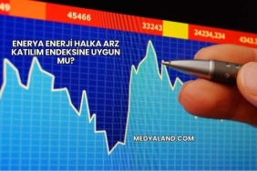 Enerya Enerji Halka Arz Katılım Endeksine Uygun mu?