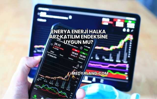 Enerya Enerji Halka Arz Katılım Endeksine Uygun mu?