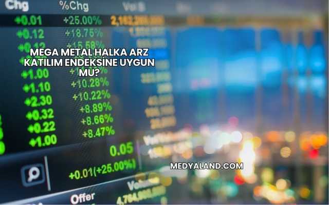 Mega Metal Halka Arz Katılım Endeksine Uygun mu?