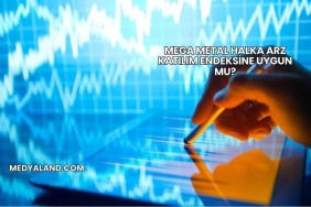 Mega Metal Halka Arz Katılım Endeksine Uygun mu?