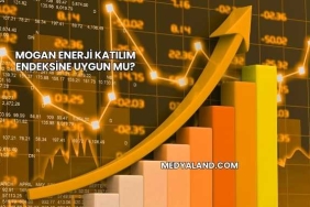 Mogan Enerji Katılım Endeksine Uygun mu?