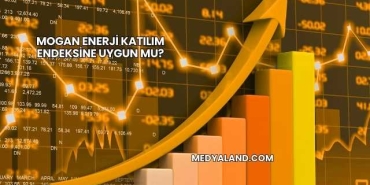 Mogan Enerji Katılım Endeksine Uygun mu?