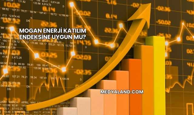 Mogan Enerji Katılım Endeksine Uygun mu?