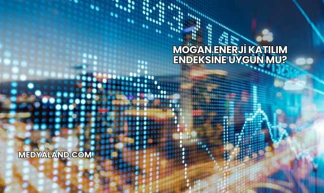Mogan Enerji Katılım Endeksine Uygun mu?