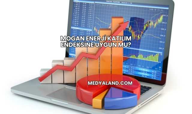 Mogan Enerji Katılım Endeksine Uygun mu?