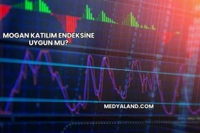 Mogan Katılım Endeksine Uygun mu?