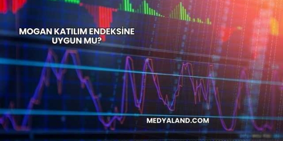 Mogan Katılım Endeksine Uygun mu?