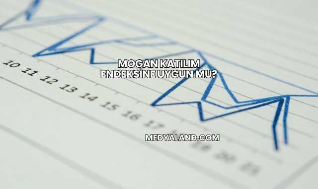 Mogan Katılım Endeksine Uygun mu?