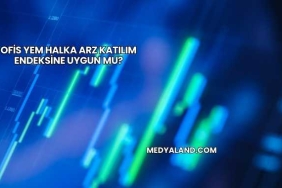 Ofis Yem Halka Arz Katılım Endeksine Uygun mu?