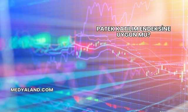 Patek Katılım Endeksine Uygun mu?