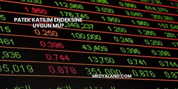 Patek Katılım Endeksine Uygun mu?