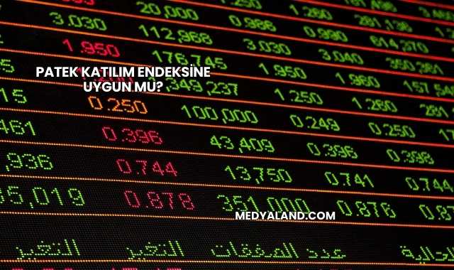 Patek Katılım Endeksine Uygun mu?
