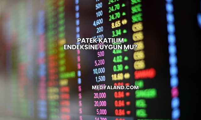 Patek Katılım Endeksine Uygun mu?