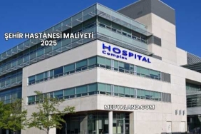 Şehir Hastanesi Maliyeti 2025