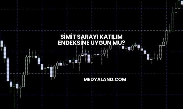 Simit Sarayı Katılım Endeksine Uygun mu?