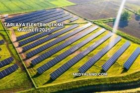 Tarlaya Elektrik Çekme Maliyeti 2025
