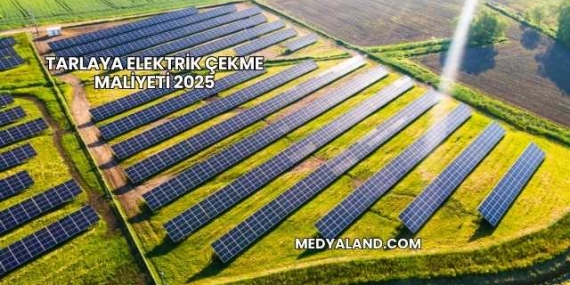 Tarlaya Elektrik Çekme Maliyeti 2025