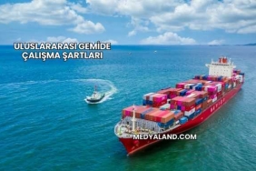 Uluslararası Gemide Çalışma Şartları