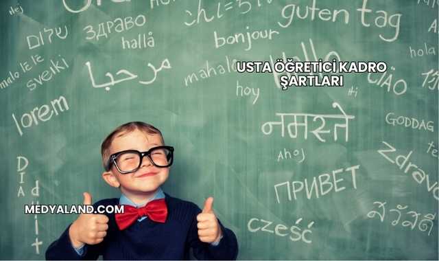 Usta Öğretici Kadro Şartları