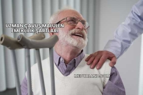 Uzman Çavuş Malulen Emeklilik Şartları