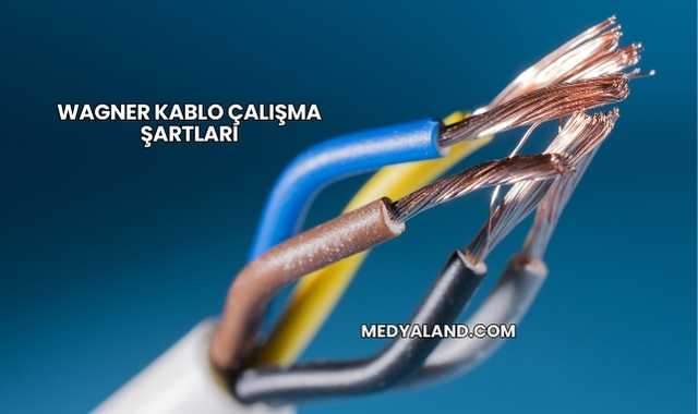 Wagner Kablo Çalışma Şartları