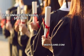 Yale Üniversitesi Kabul Şartları