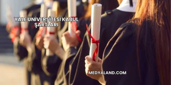 Yale Üniversitesi Kabul Şartları
