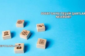 00687 Sayılı Teşvik Şartları Nelerdir?
