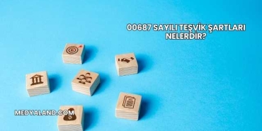 00687 Sayılı Teşvik Şartları Nelerdir?
