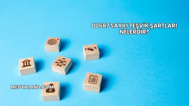 00687 Sayılı Teşvik Şartları Nelerdir?