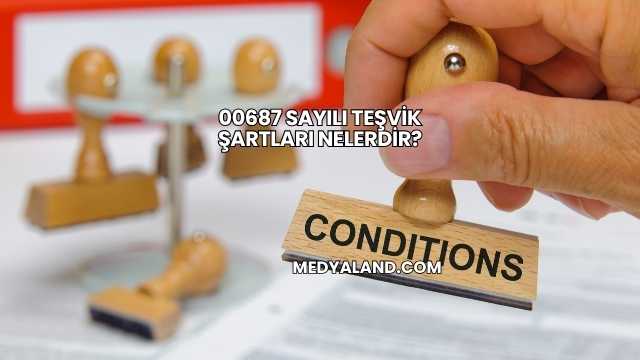 00687 Sayılı Teşvik Şartları Nelerdir?