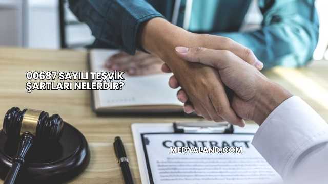 00687 Sayılı Teşvik Şartları Nelerdir?