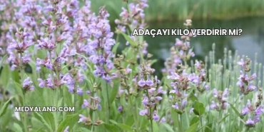 Adaçayı Kilo Verdirir mi?