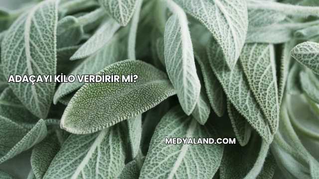 Adaçayı Kilo Verdirir mi?