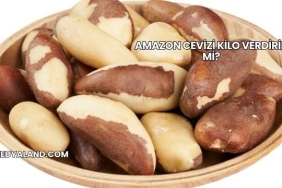 Amazon Cevizi Kilo Verdirir mi?