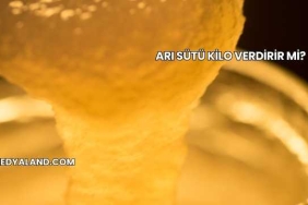 Arı Sütü Kilo Verdirir mi?