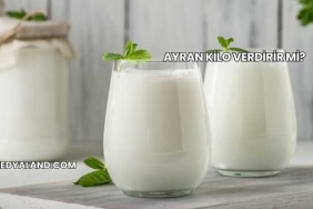 Ayran Kilo Verdirir mi?
