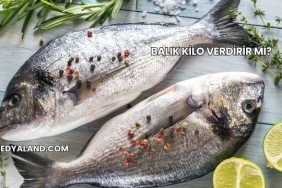 Balık Kilo Verdirir mi?